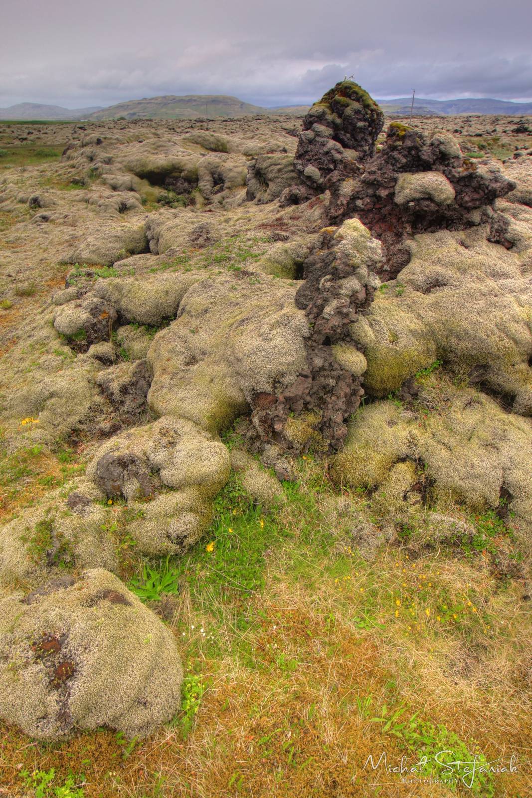 456 IMG 4094 5 6Enhancer